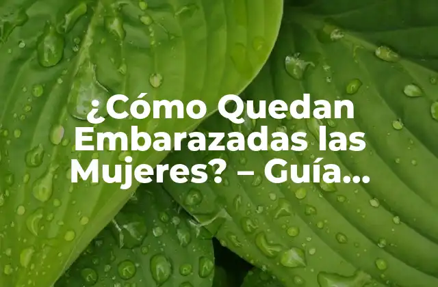 ¿cómo Quedan Embarazadas las Mujeres? - Guía Completa 2 La Ovulación y la Fecundación