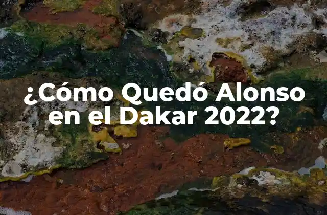 ¿cómo Quedó Alonso en el Dakar 2022?