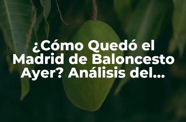 ¿cómo Quedó el Madrid de Baloncesto Ayer? Análisis Del Último Partido