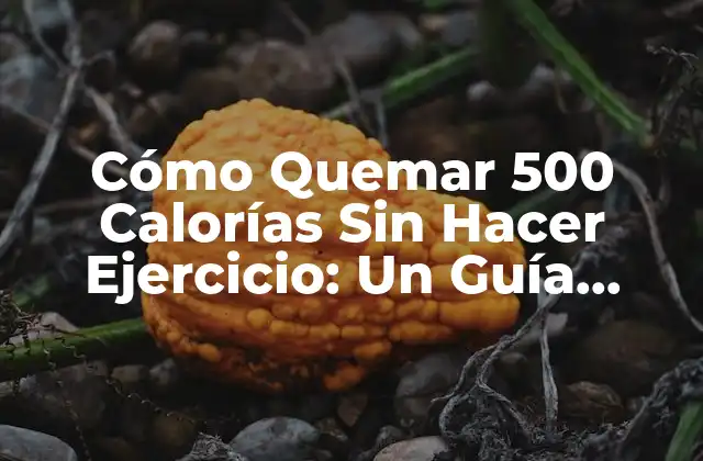 Cómo Quemar 500 Calorías sin Hacer Ejercicio: un Guía Completa 2 ¿Por qué Quemar 500 Calorías es Importante?