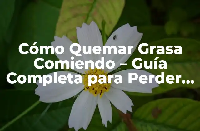 Cómo Quemar Grasa Comiendo – Guía Completa para Perder Peso de Forma Saludable