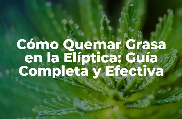 Cómo Quemar Grasa en la Elíptica: Guía Completa y Efectiva