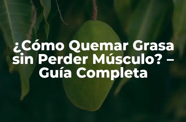 ¿cómo Quemar Grasa sin Perder Músculo? - Guía Completa 2 ¿Por qué es Importante Quemar Grasa sin Perder Músculo?