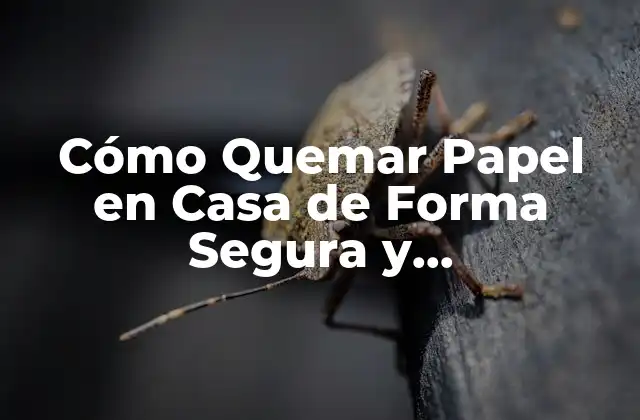 Cómo Quemar Papel en Casa de Forma Segura y Medioambiental