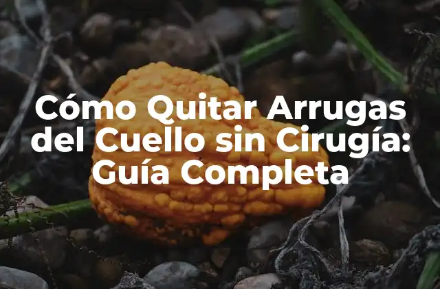Cómo Quitar Arrugas Del Cuello sin Cirugía: Guía Completa