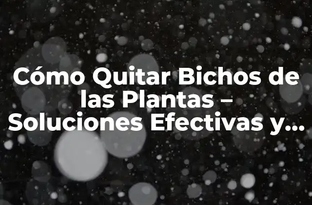 Cómo Quitar Bichos de las Plantas – Soluciones Efectivas y Naturales