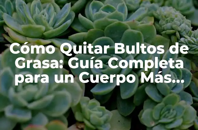 Cómo Quitar Bultos de Grasa: Guía Completa para un Cuerpo Más Saludable