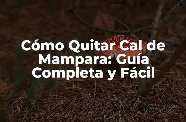 Cómo Quitar Cal de Mampara: Guía Completa y Fácil