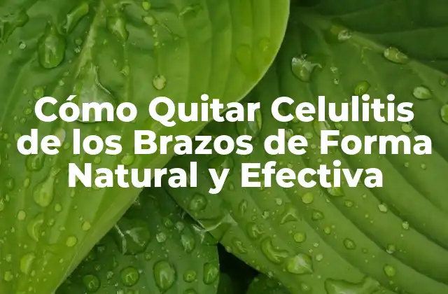 Causas de la Celulitis en los Brazos