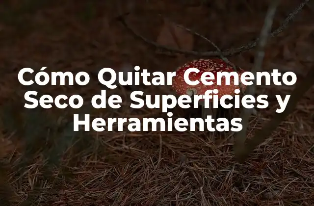 Cómo Quitar Cemento Seco de Superficies y Herramientas