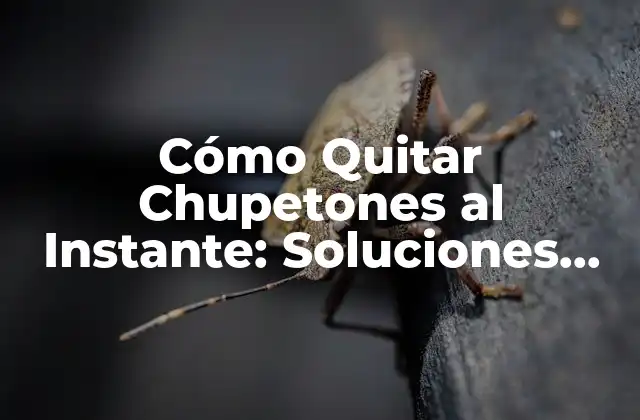 ¿Cuáles son los motivos para quitar chupetones al instante?