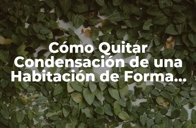 Causas de la Condensación en Habitaciones