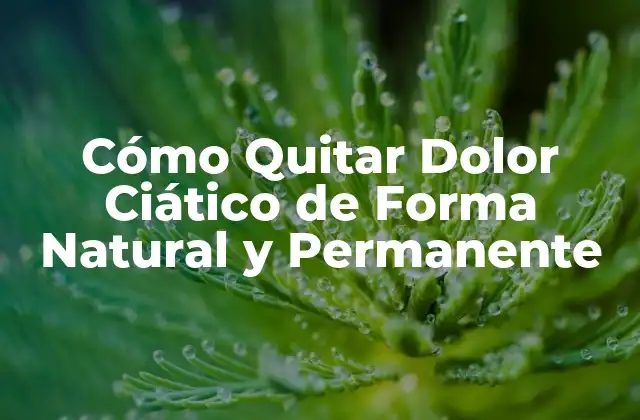 Cómo Quitar Dolor Ciático de Forma Natural y Permanente