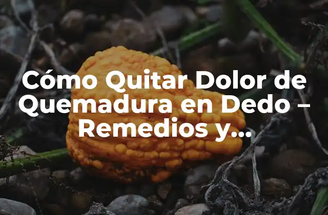 Cómo Quitar Dolor de Quemadura en Dedo – Remedios y Tratamientos Naturales