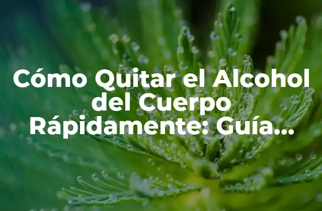 Cómo Quitar el Alcohol Del Cuerpo Rápidamente: Guía Completa 2 Cómo el Cuerpo Procesa el Alcohol