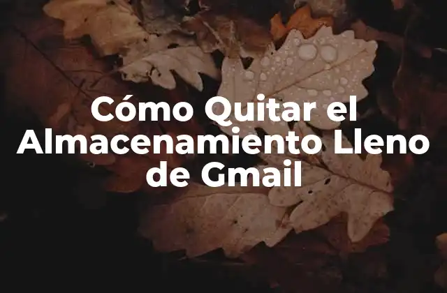 Cómo Quitar el Almacenamiento Lleno de Gmail