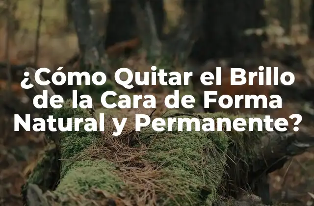 Causas del Brillo de la Cara