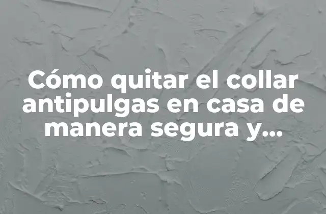 Cómo Quitar el Collar Antipulgas en Casa de Manera Segura y Efectiva