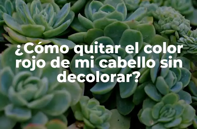 ¿cómo Quitar el Color Rojo de Mi Cabello sin Decolorar?