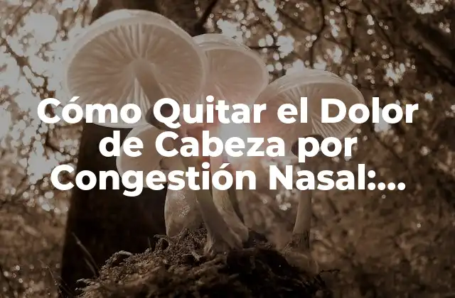 Cómo Quitar el Dolor de Cabeza por Congestión Nasal: Soluciones Naturales y Efectivas