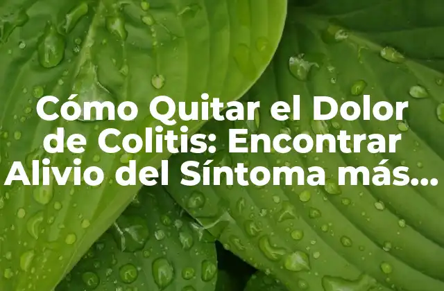 Cómo Quitar el Dolor de Colitis: Encontrar Alivio Del Síntoma Más Insoportable