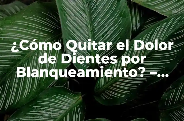 ¿cómo Quitar el Dolor de Dientes por Blanqueamiento? – Soluciones Efectivas