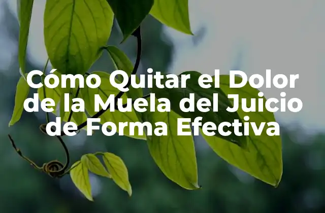 Cómo Quitar el Dolor de la Muela Del Juicio de Forma Efectiva