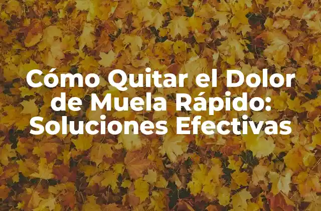 Cómo Quitar el Dolor de Muela Rápido: Soluciones Efectivas 2 Causas del Dolor de Muela