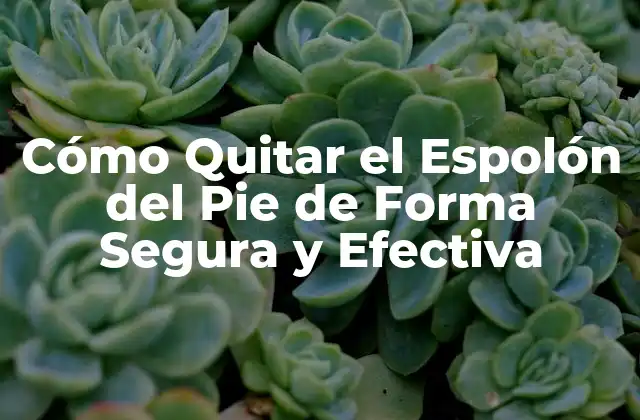 Cómo Quitar el Espolón Del Pie de Forma Segura y Efectiva 2 Causas del Espolón del Pie