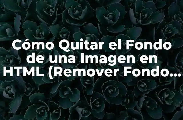Cómo Quitar el Fondo de una Imagen en Html (remover Fondo Transparente)