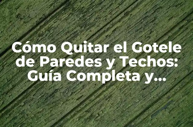 Cómo Quitar el Gotele de Paredes y Techos: Guía Completa y Detallada