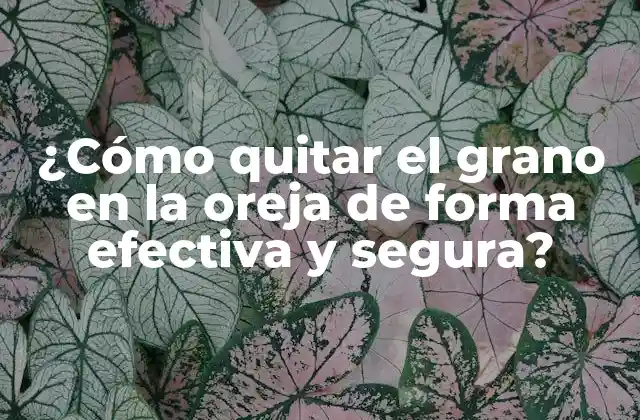 Causas y síntomas del grano en la oreja