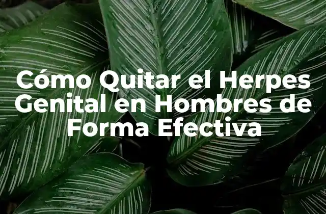 Cómo Quitar el Herpes Genital en Hombres de Forma Efectiva 2 ¿Cuáles son los Síntomas del Herpes Genital en Hombres?
