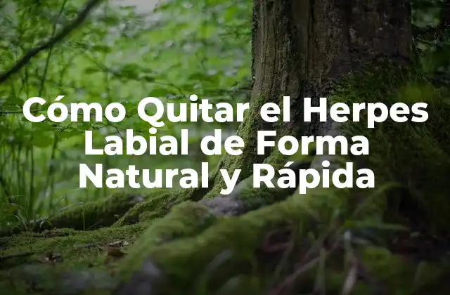 Causas y Síntomas del Herpes Labial