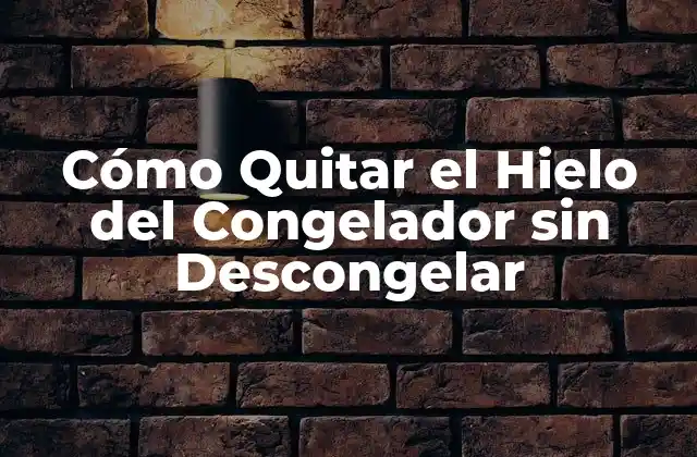 Cómo Quitar el Hielo Del Congelador sin Descongelar