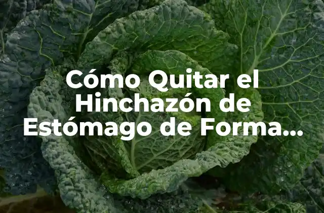 Causas del Hinchazón de Estómago