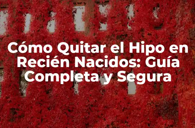 Cómo Quitar el Hipo en Recién Nacidos: Guía Completa y Segura