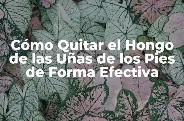 Cómo Quitar el Hongo de las Uñas de los Pies de Forma Efectiva