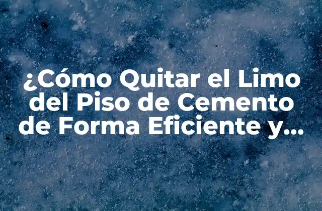 ¿cómo Quitar el Limo Del Piso de Cemento de Forma Eficiente y Segura?