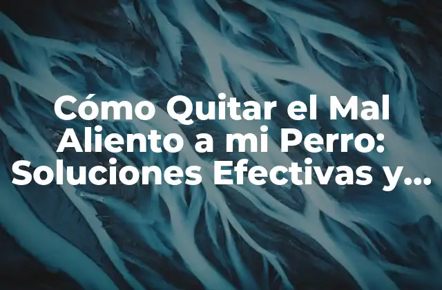 Cómo Quitar el Mal Aliento a Mi Perro: Soluciones Efectivas y Naturales