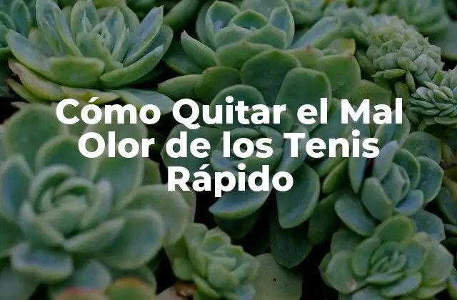 Cómo Quitar el Mal Olor de los Tenis Rápido 2 Causas del Mal Olor de los Tenis