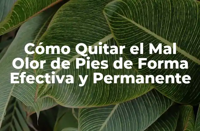 Cómo Quitar el Mal Olor de Pies de Forma Efectiva y Permanente