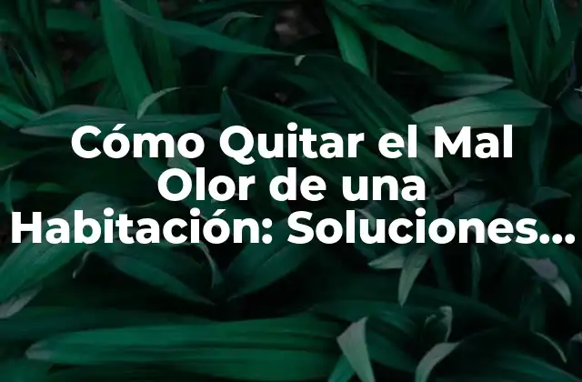 Cómo Quitar el Mal Olor de una Habitación: Soluciones Efectivas
