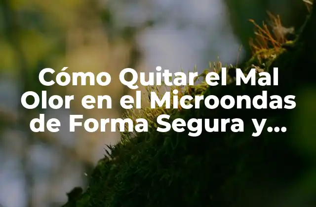 Cómo Quitar el Mal Olor en el Microondas de Forma Segura y Efectiva
