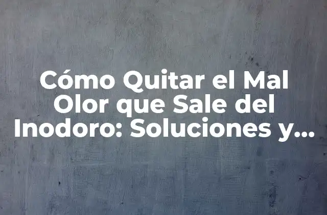 Cómo Quitar el Mal Olor que Sale Del Inodoro: Soluciones y Trucos