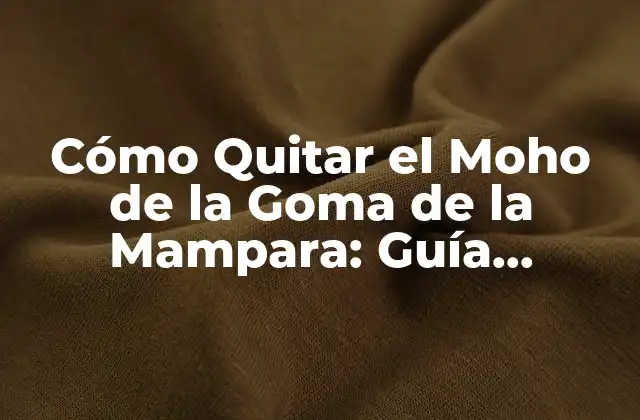 Cómo Quitar el Moho de la Goma de la Mampara: Guía Detallada