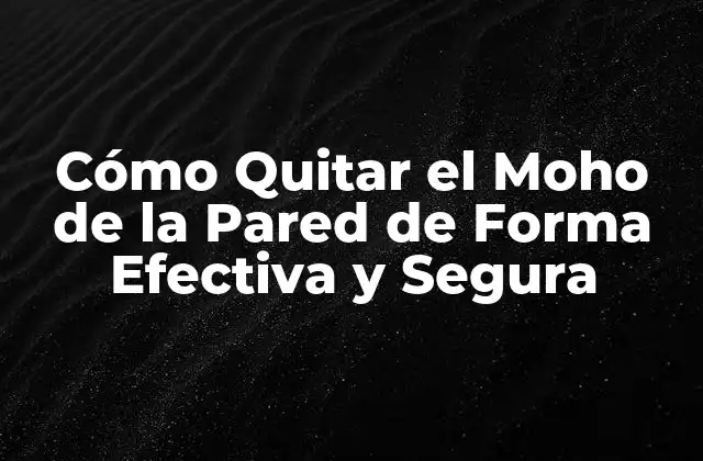 Cómo Quitar el Moho de la Pared de Forma Efectiva y Segura 2 Causas del Moho en las Paredes