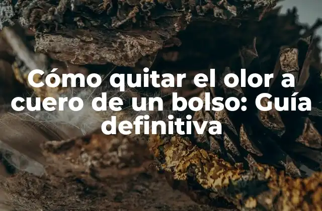 Cómo Quitar el Olor a Cuero de un Bolso: Guía Definitiva