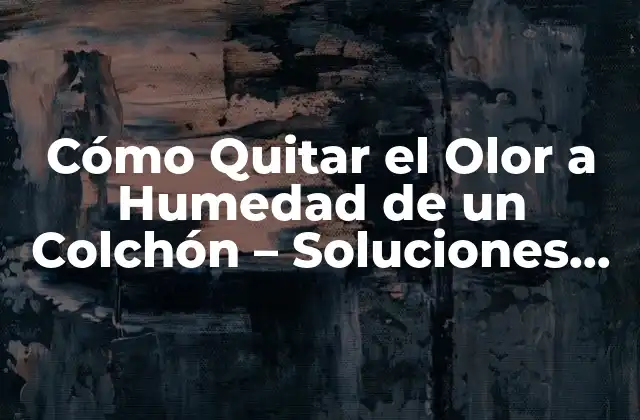 Cómo Quitar el Olor a Humedad de un Colchón – Soluciones Eficientes
