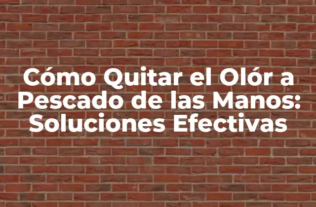 Cómo Quitar el Olór a Pescado de las Manos: Soluciones Efectivas